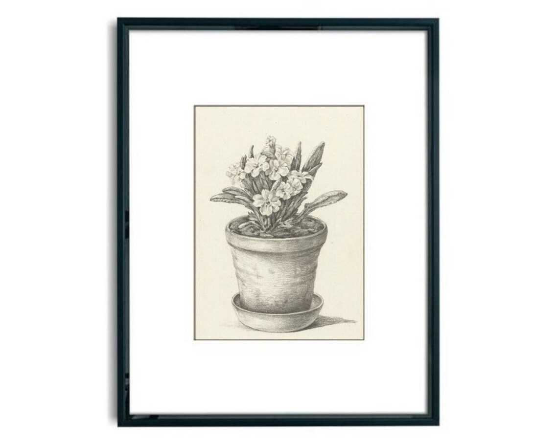 Botanical Sketch Vintage Flower Drawing, Farmhouse Art Print - Image 3
