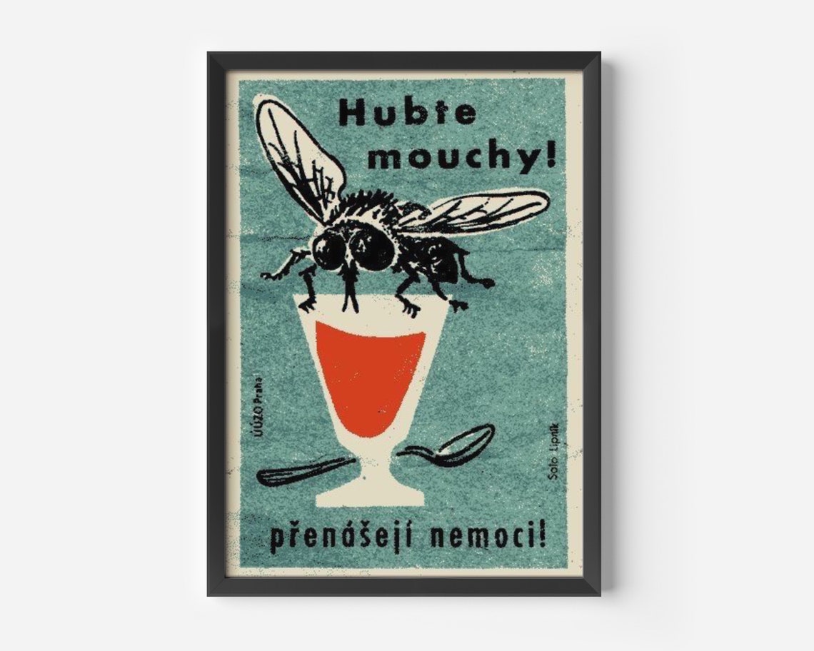 Fly Matchbox Print Vintage Fly Print Fly Wall Art Czech Matchbox Label Matchbox Print Rustic Fly Wall Decor Fly Wall Art Insects Art - Image 4
