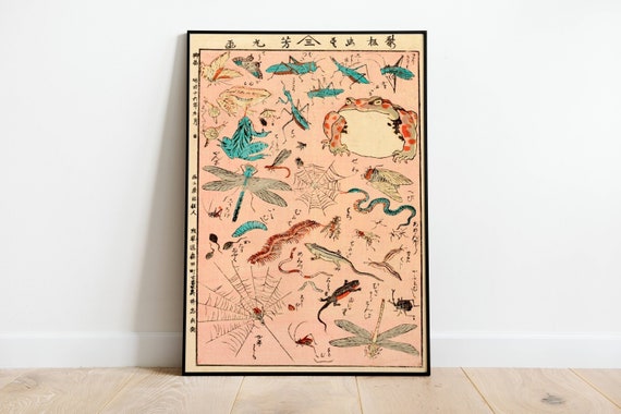 Japanesse Frog And Insects Poster Art Deco Vintage Print Colorful Wall Art Large Wall Art Print Decor Retro Poster Amphibious Print