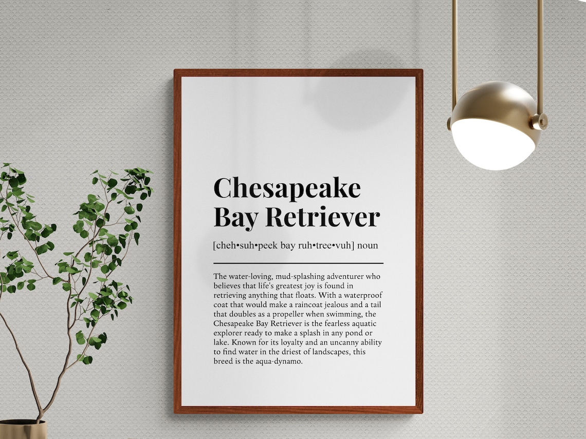 Chesapeake Bay Retriever Funny Definition Art Print - Image 3