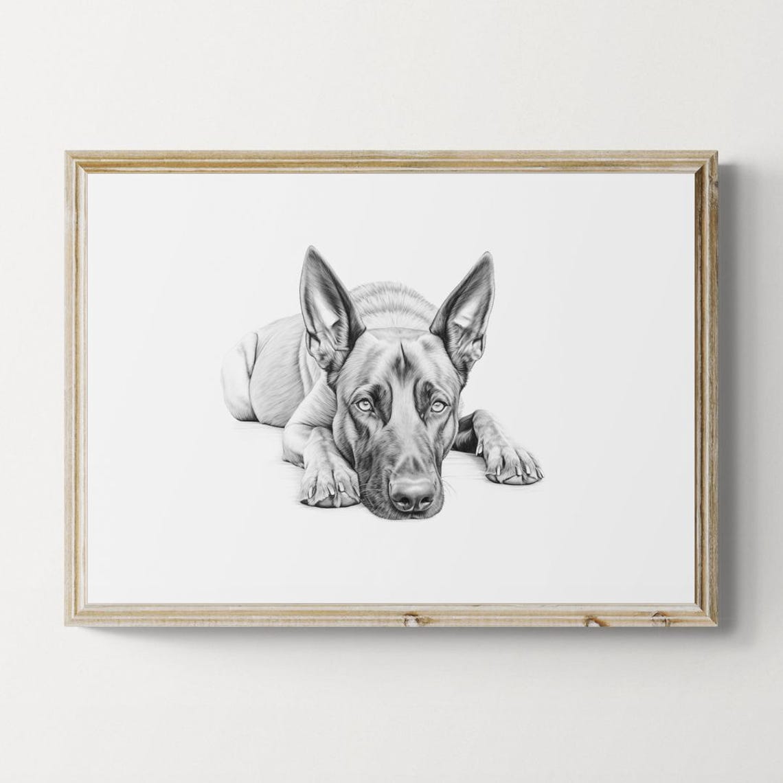 Belgian Malinois Erect Ears Dog Sketch Lying Down Vintage Dog Poster