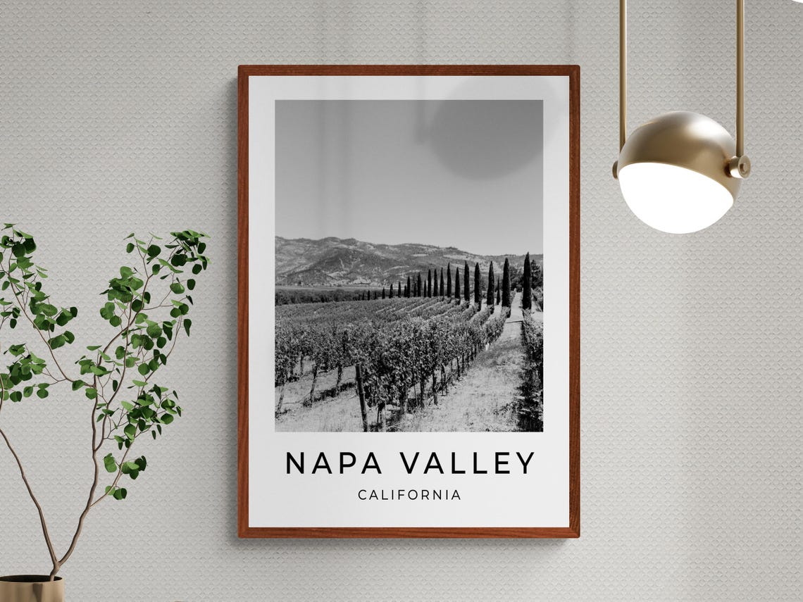Napa Valley California Vineyard Monochrome Black White Poster - Image 3