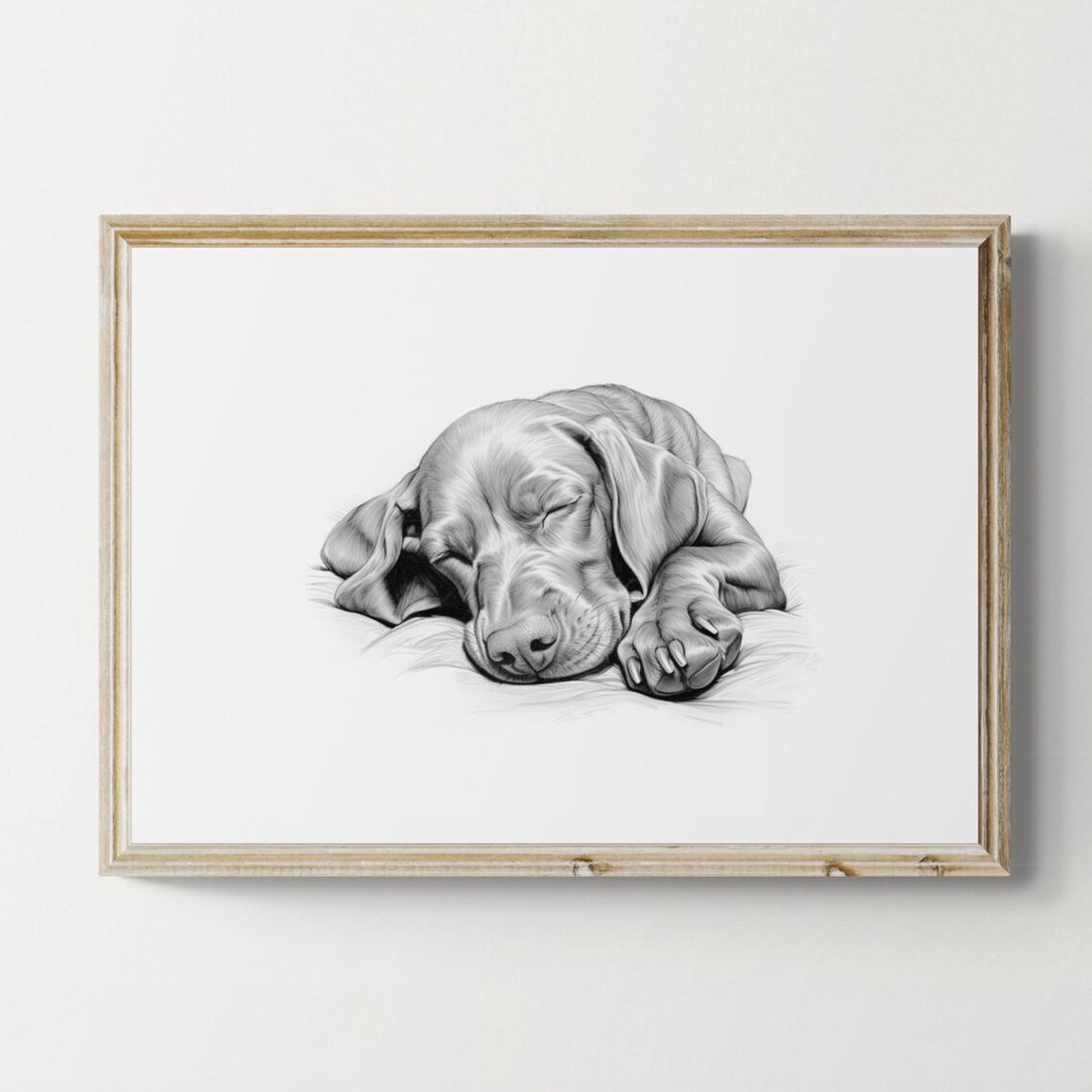 Sleeping Vizsla Vintage Dog Sketch, Farmhouse Art Print