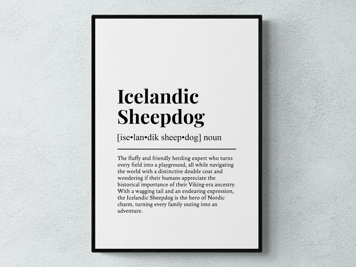 Friendly Icelandic Sheepdog Dog Dictionary Definition Gift Poster