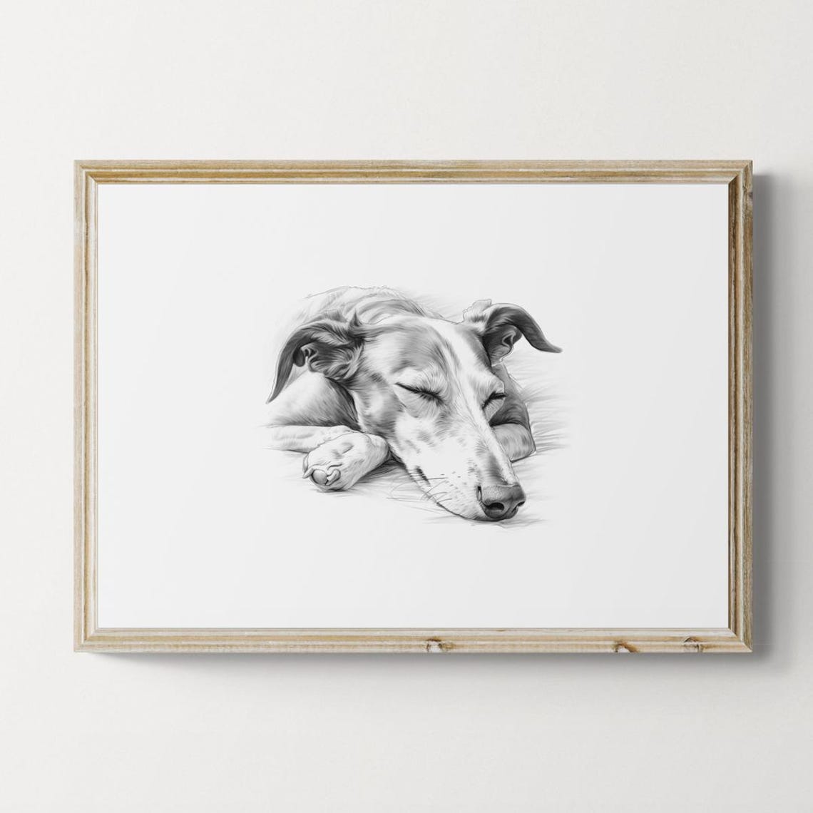 Sleeping Greyhound Dog Pencil Sketch Resting Sighthound Wall Art