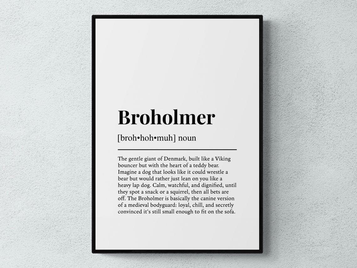 Broholmer Danish Gentle Giant Viking Dictionary Definition Poster