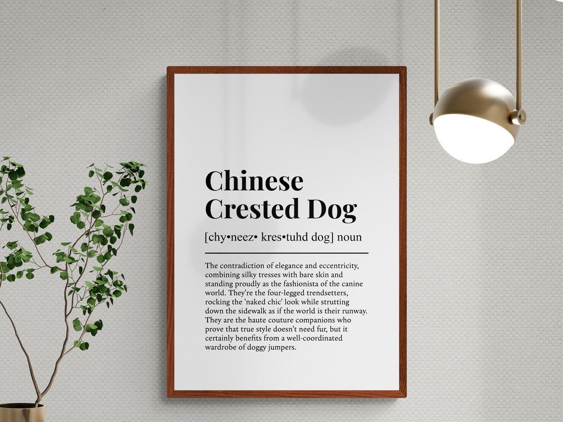 Chinese Crested Dog Funny Dictionary Definition Black White Poster - Image 3