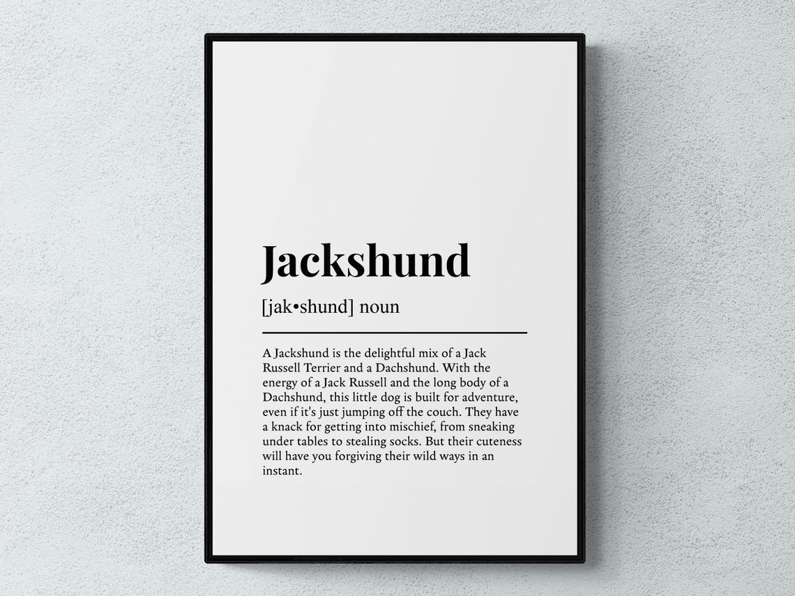 Jackshund Sock Stealing Little Adventure Definition Funny Poster