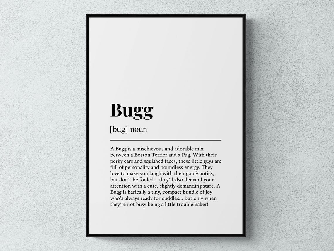 Bugg Boston Terrier Pug Mix Mischief Definition Funny Poster