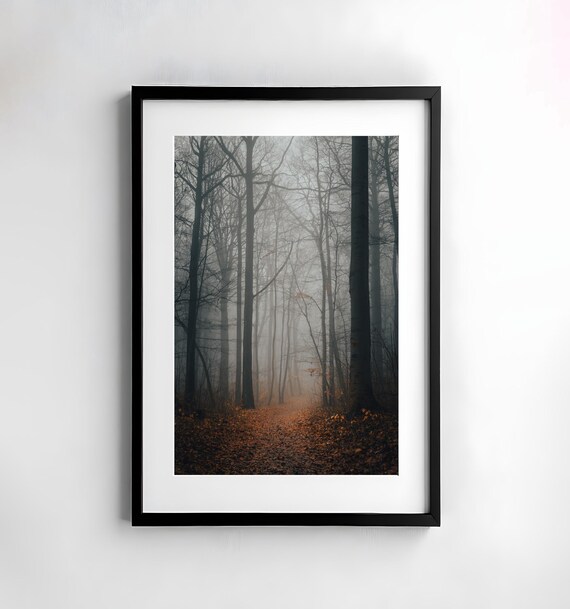Misty Autumn Forest Path With Golden Fallen Leaves Photo Poster