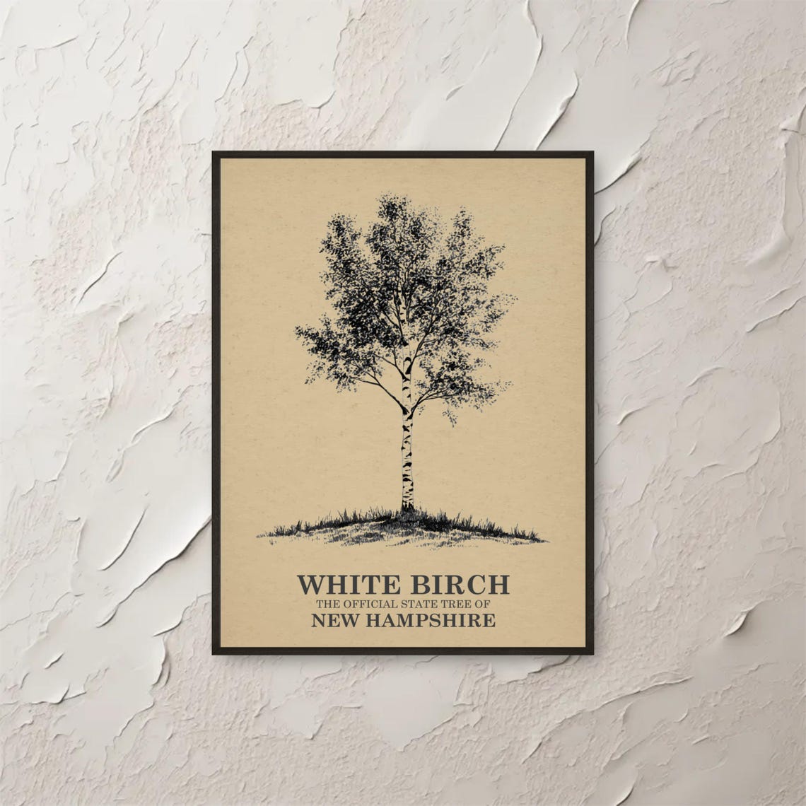 Vintage White Birch New Hampshire State Tree Botanical Style Print
