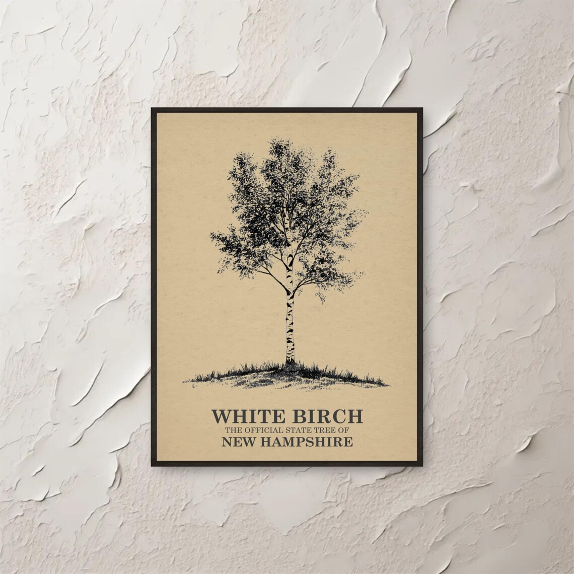 White Birch New Hampshire Wall Art Nature Print State Tree Botanical Illustration Minimalist Decor Etsy Popular