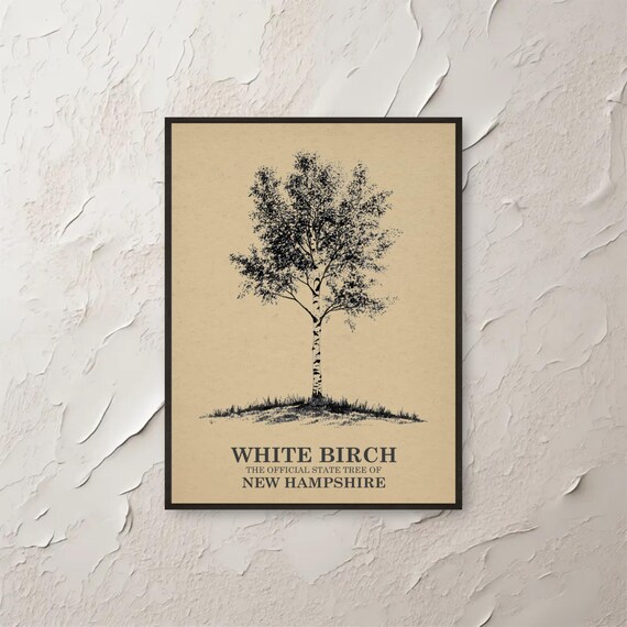 Vintage White Birch New Hampshire State Tree Botanical Style Print
