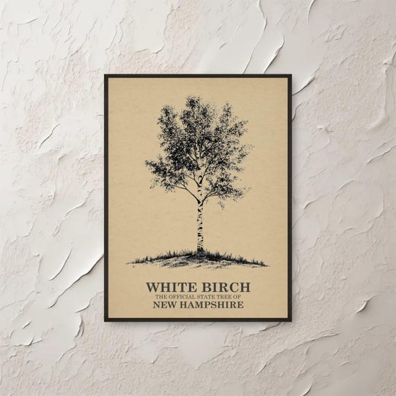White Birch New Hampshire Wall Art Nature Print State Tree Botanical Illustration Minimalist Decor Etsy Popular