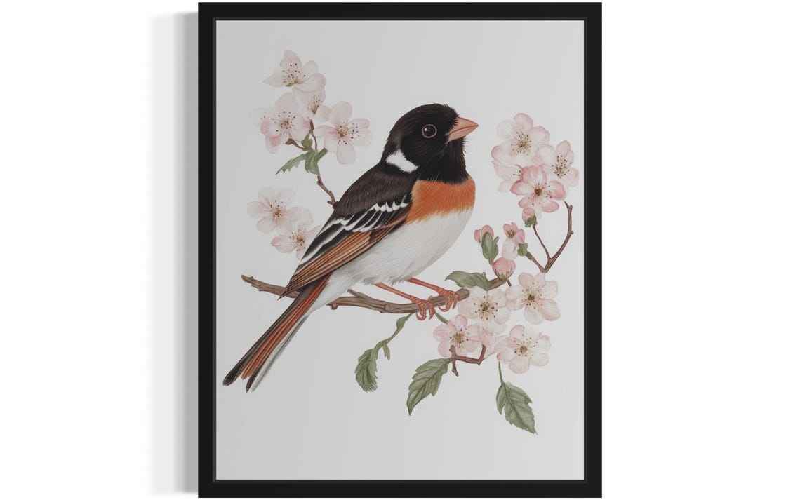 Elegant Eastern Towhee on Cherry Blossom Branch Watercolor Poster