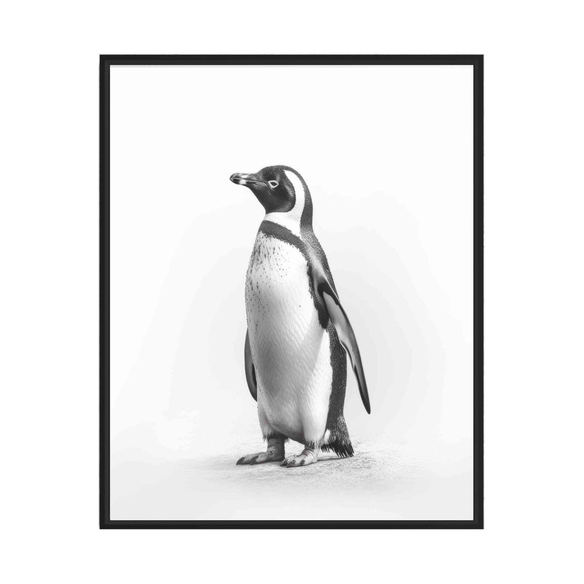 Dignified Penguin Standing Tall in Black and White Art Poster