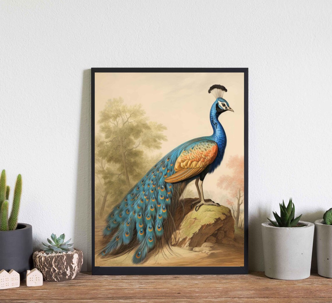 Indian Peafowl Standing in a Woodland Glade Vintage Bird Art Poster - Image 4