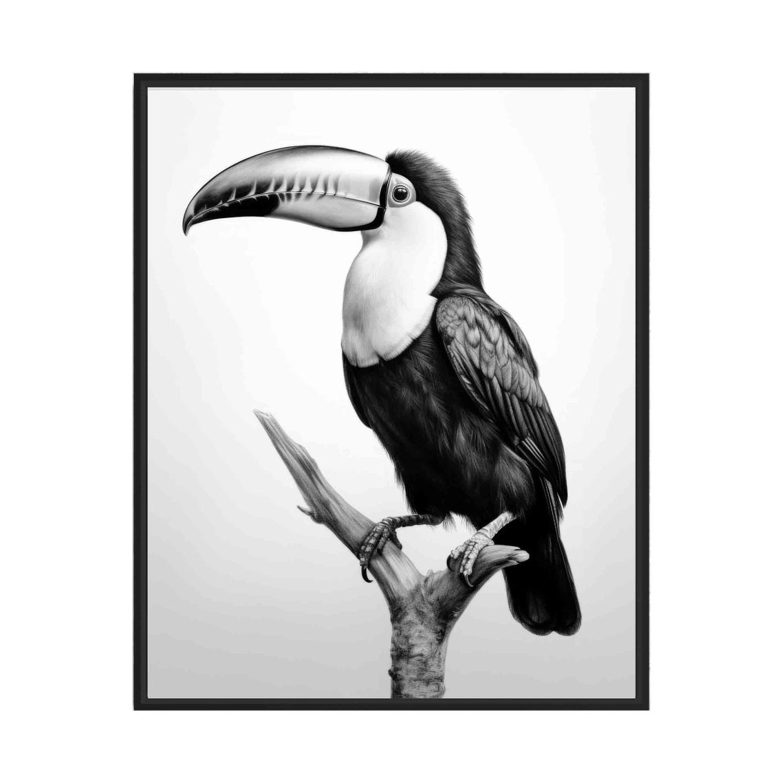 Black and White Toucan on Branch Detailed Art Poster Home Decor Gift