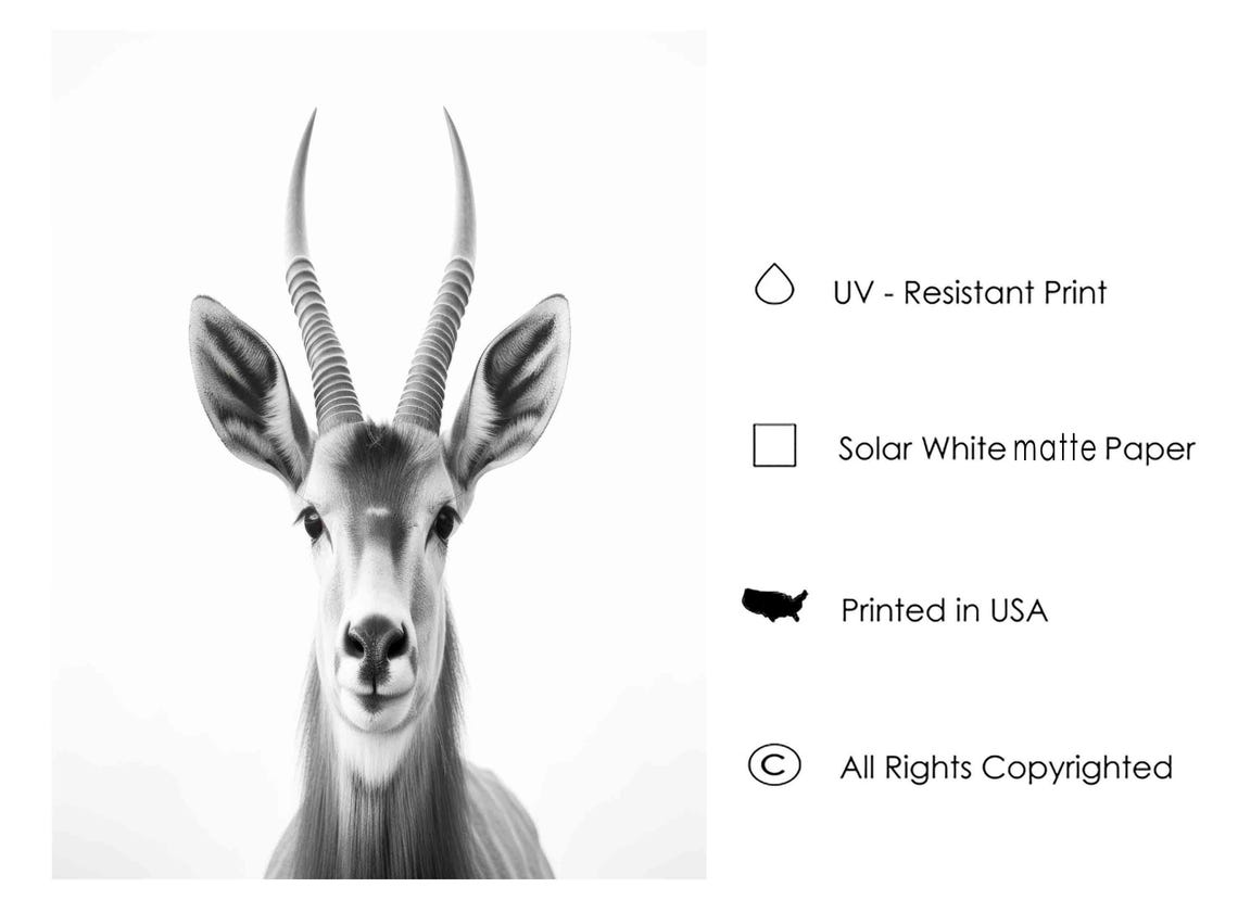 Elegant Antelope Portrait with Long Horns in Black and White Poster - Image 3