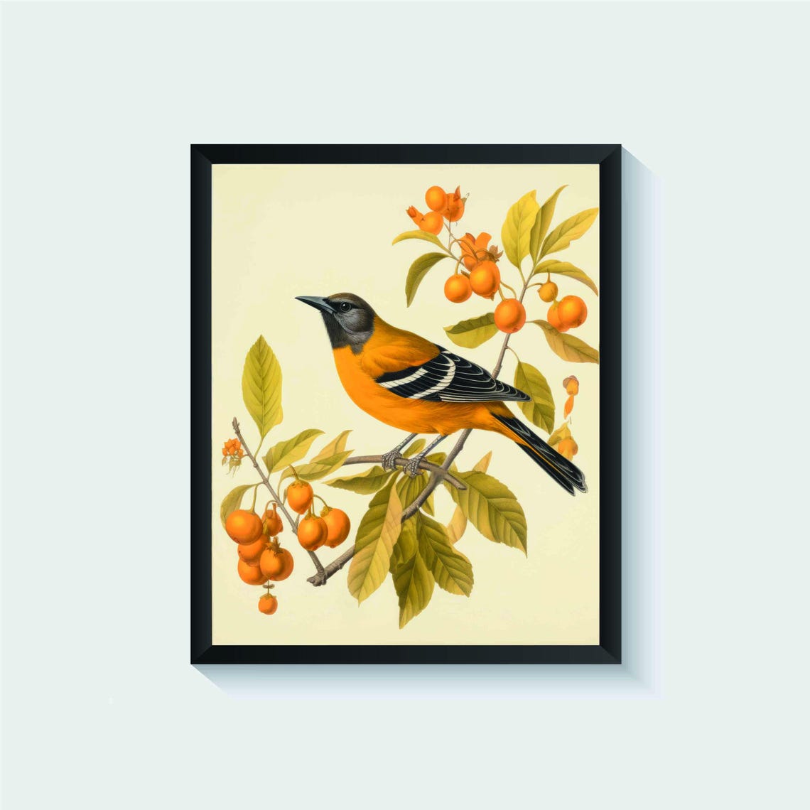Baltimore Oriole On Fruit Branch Vintage Botanical Bird Print