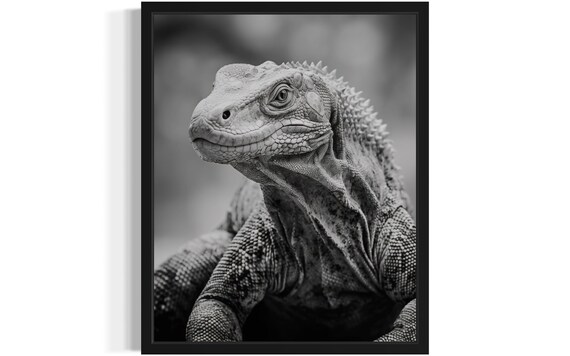 Komodo Dragon Black And White Animal Art Print Wall Art Poster Original Paint Artwork Artwork Decor