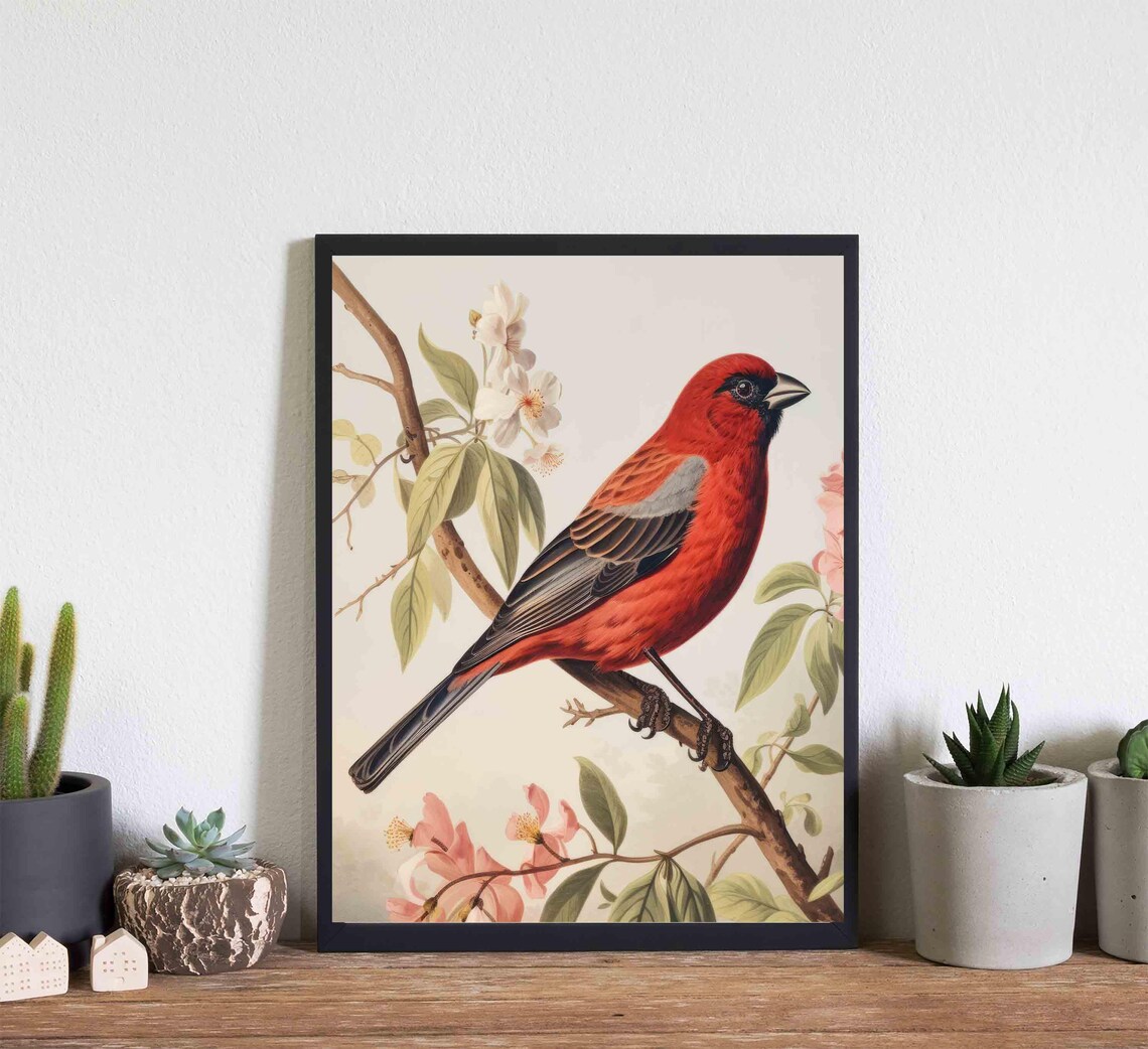 Scarlet Finch on a Blossoming Branch Vintage Bird Art Poster - Image 4