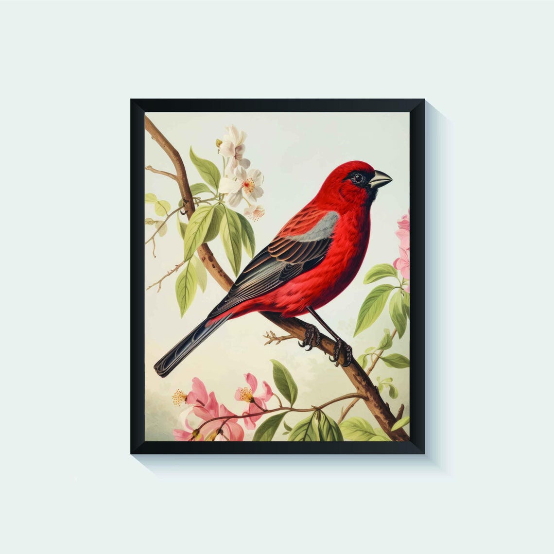 Scarlet Finch on a Blossoming Branch Vintage Bird Art Poster