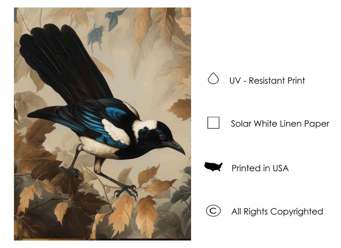 Black Billed Magpie Among Autumn Leaves Vintage Bird Art Poster - Image 3