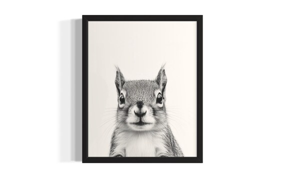 Squirrel Animal Black And White Poster Art Print Living Room Wall Original Paint Artwork Decor