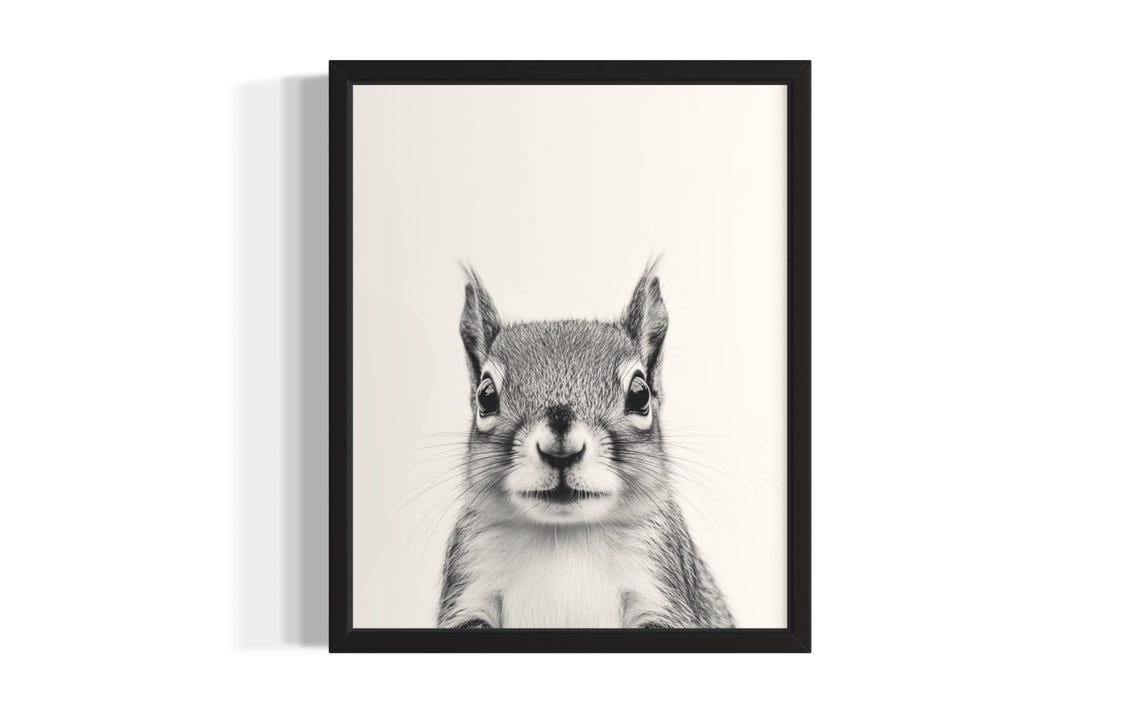 Cute Baby Squirrel Black And White Minimalist Portrait Poster