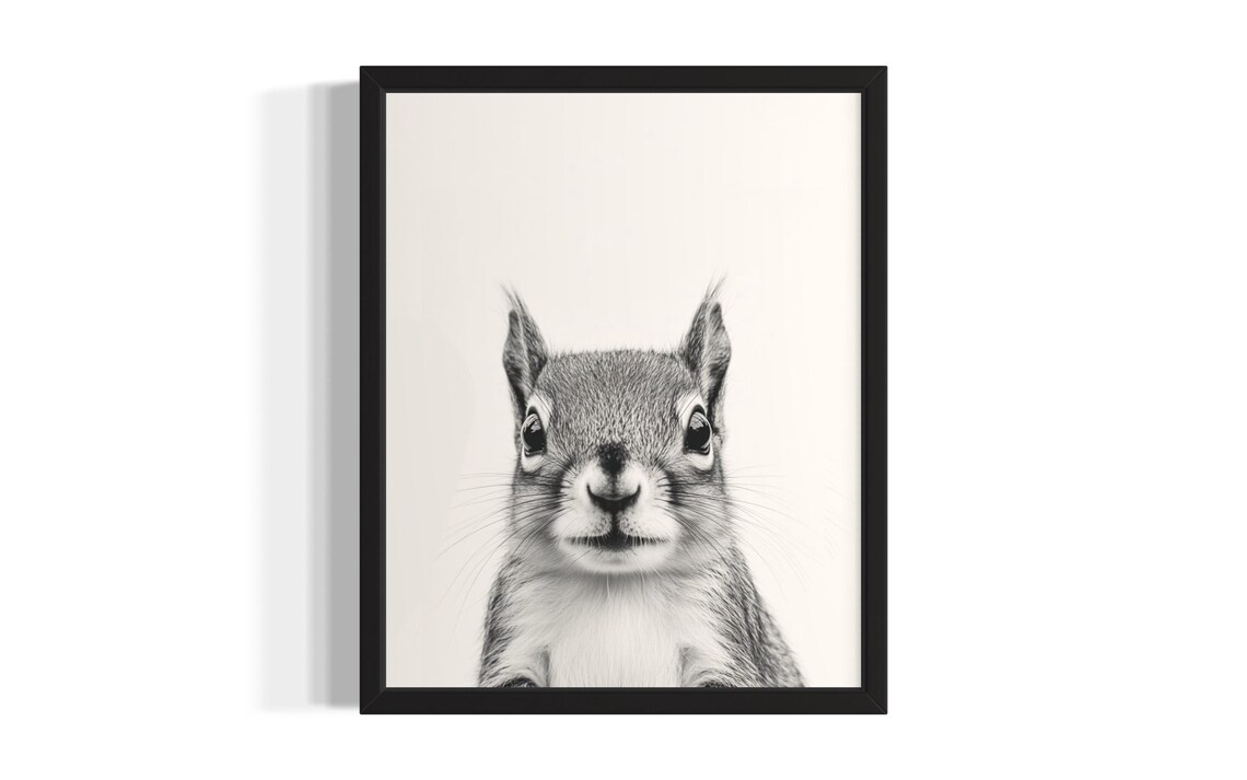 Squirrel Animal Black And White Poster Art Print Living Room Wall Original Paint Artwork Decor