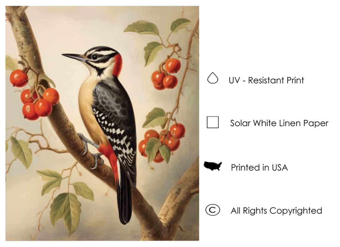 Great Spotted Woodpecker on a Berry Branch Vintage Songbird Poster - Image 3