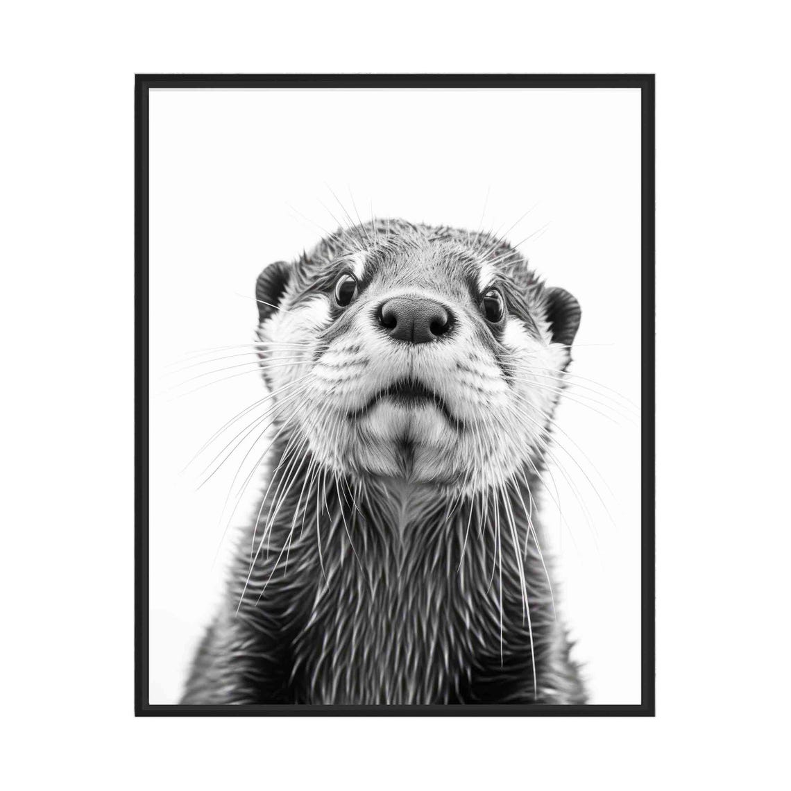 Curious Otter Face Close Up in Black and White Portrait Poster