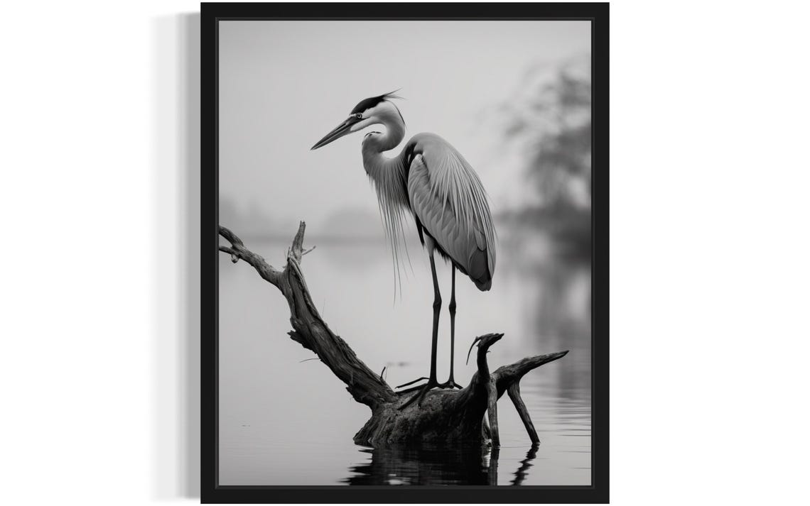 Great Blue Heron Perched on Driftwood Black White Photo Poster