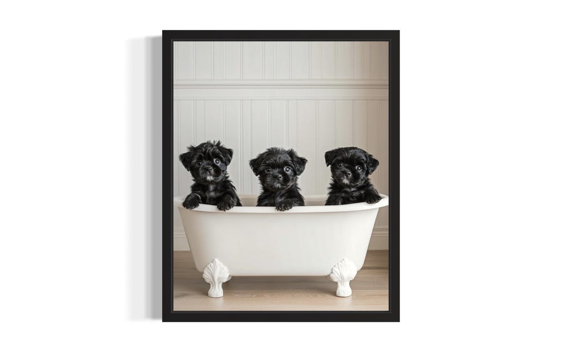 Affenpinscher Puppies In Bathtub Three Black Cute Pup Trio Poster