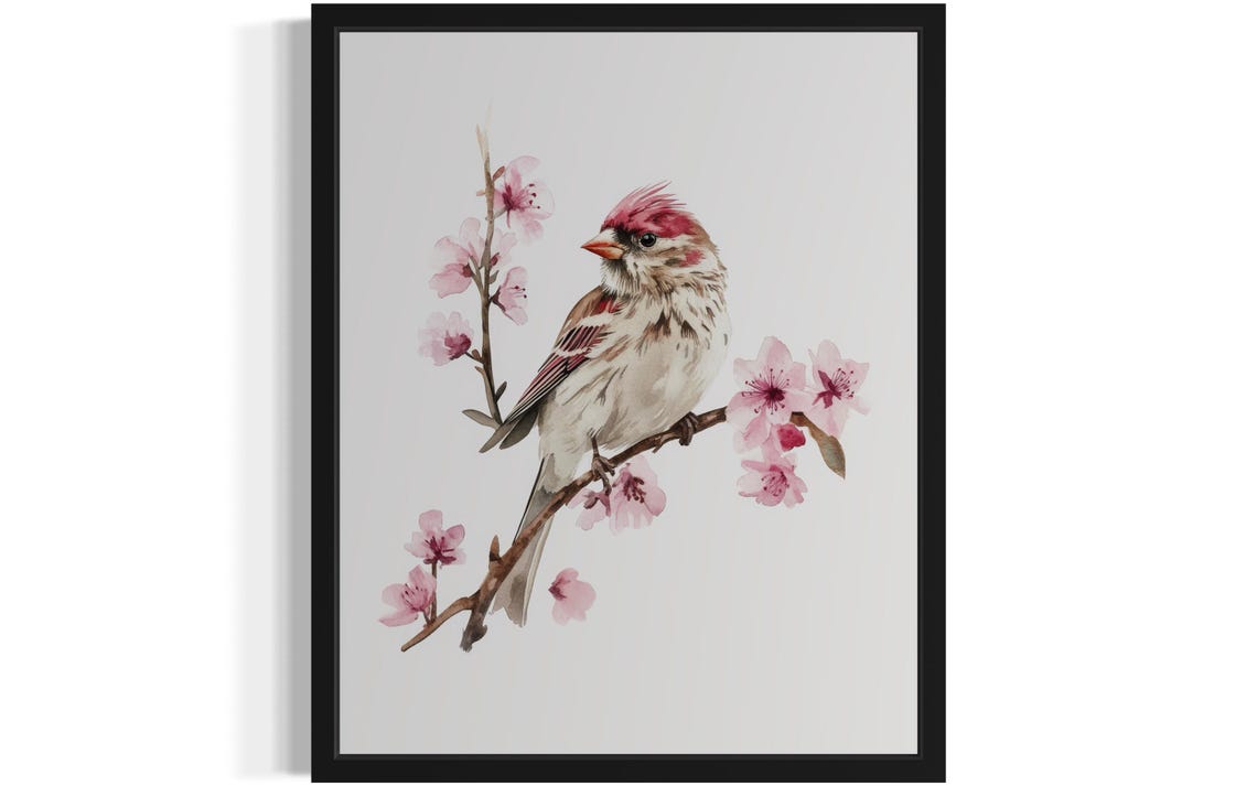 Common Redpoll Songbird on Pink Blossoms Watercolor Bird Poster