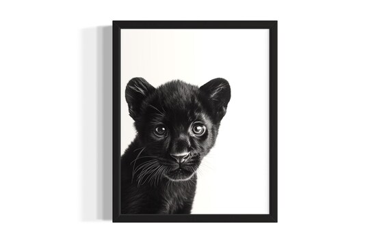 Black Panther Cub Portrait Black And White Wild Cat Photo Poster