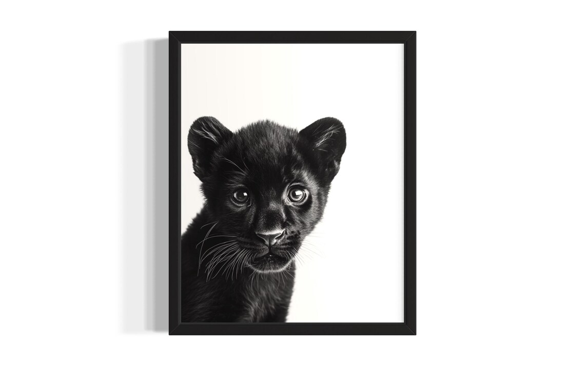 Black Panther Cub Portrait Black And White Wild Cat Photo Poster