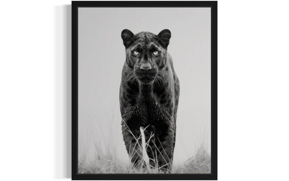 Black Panther Stalking Forward Dramatic Black White Photo Poster