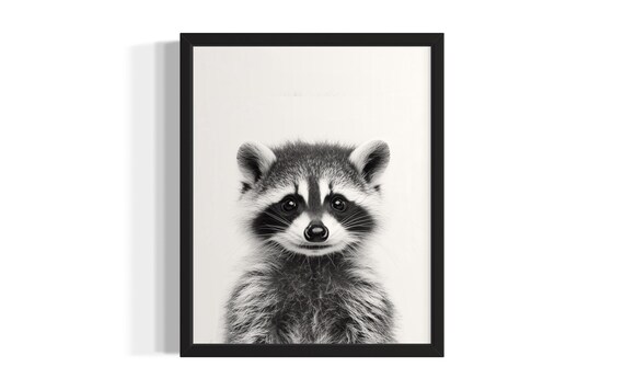 Raccoon Animal Black And White Poster Art Print Living Room Wall Original Paint Artwork Decor