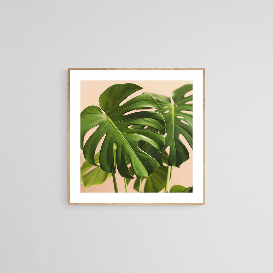Monstera Print, Botanical Photograph Tropical Art