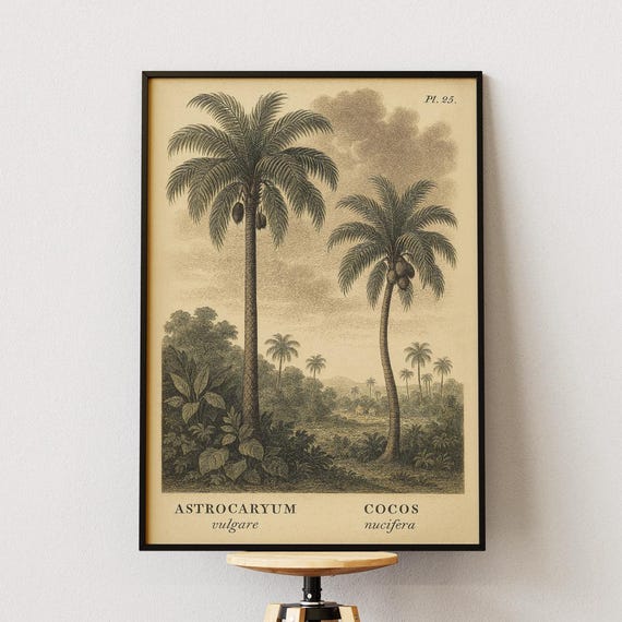 Vintage Palm Tree Botanical Art Print, Tropical Study