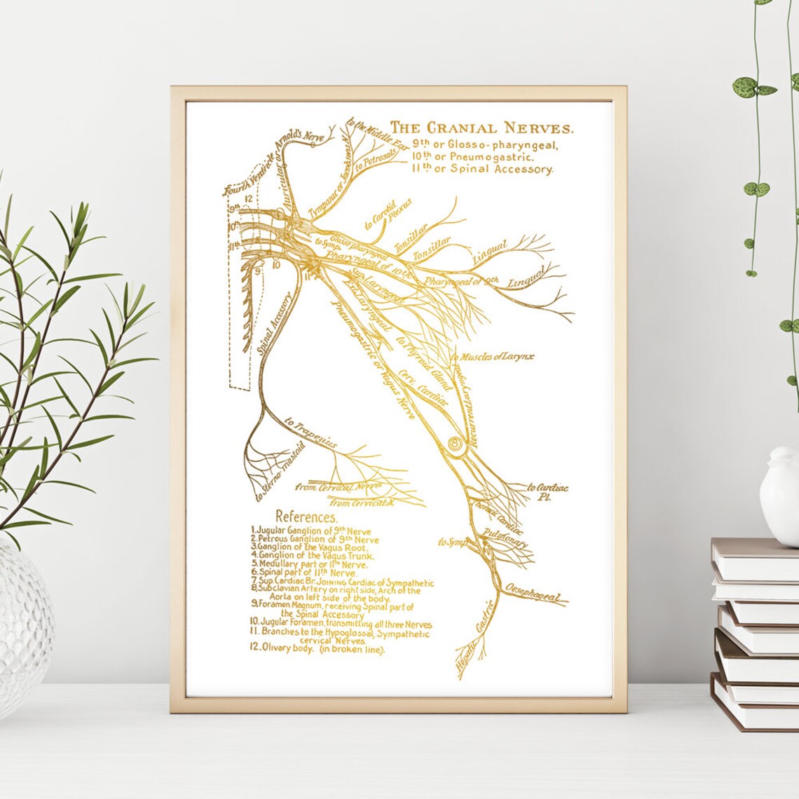 Cranial Nerves Anatomy Gold Foil Medical Neurology Decor Wall Art - Image 3