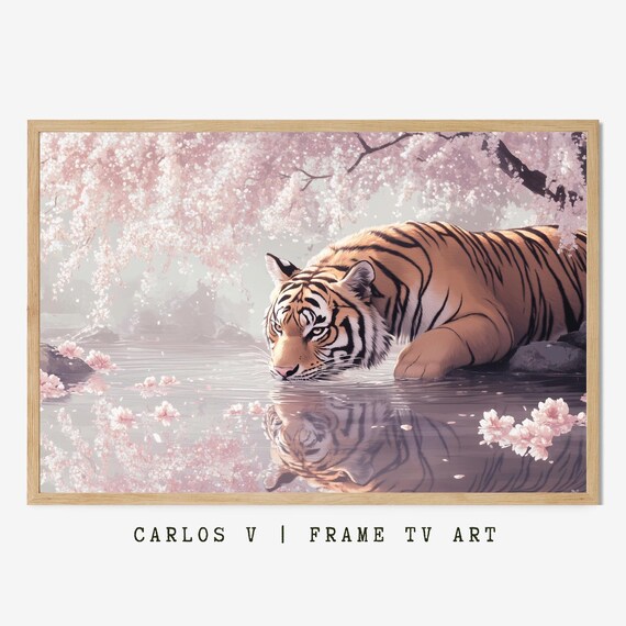 Tiger Drinking Cherry Blossom Water Reflection Spring Wildlife Art Poster
