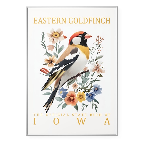Eastern Goldfinch Bird Wall Art Print Iowa State Poster Vintage Wildlife Artwork Rustic Botanical Illustration Decor