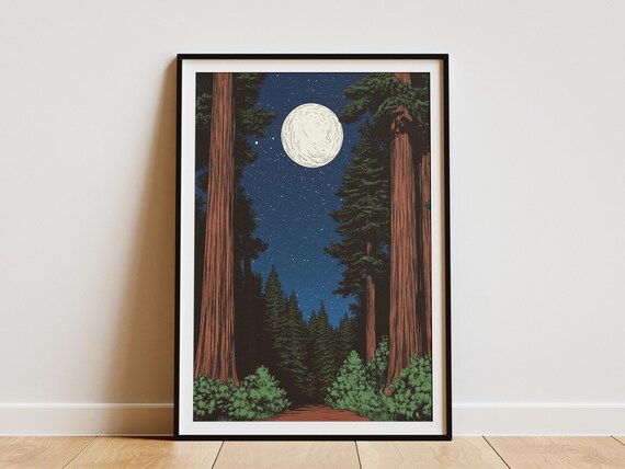 Redwood Forest Night Full Moon Starry Sky Vintage Nature Decor Poster