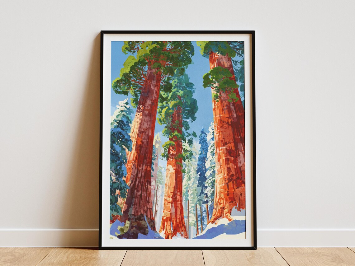Sequoia National Park Giant Redwood Trees Forest Canopy Poster