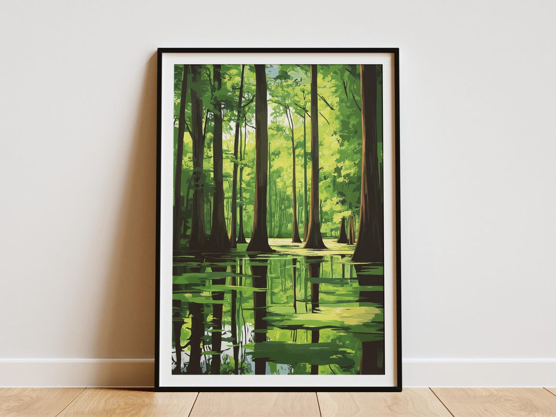 Congaree National Park South Carolina Swamp Cypress Reflection Poster