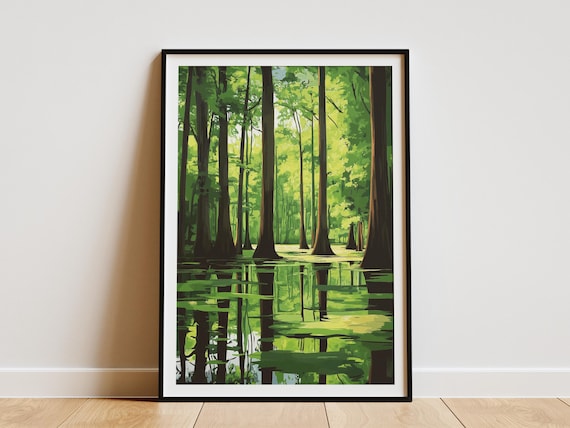Congaree National Park South Carolina Swamp Cypress Reflection Poster