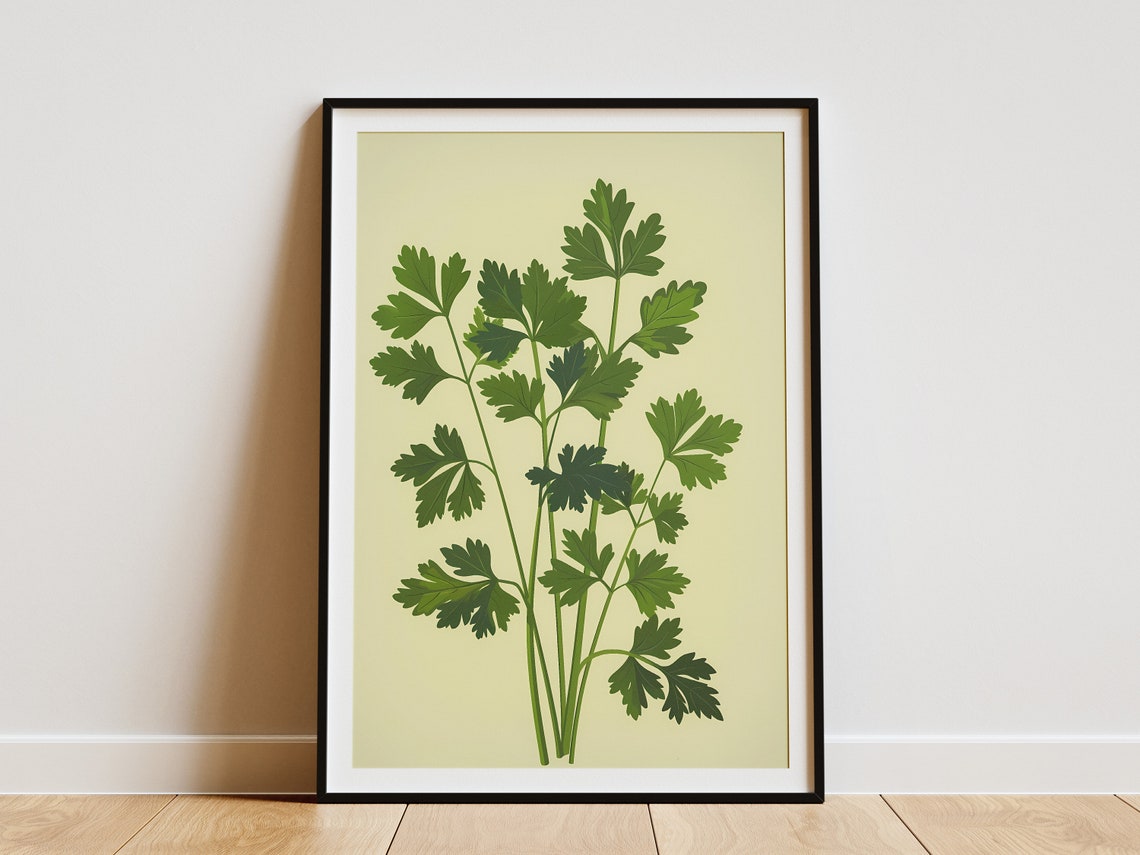 Parsley Fresh Green Herb Sprigs Botanical Kitchen Art Poster